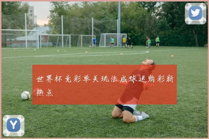 世界杯竞彩单关玩法成球迷购彩新热点