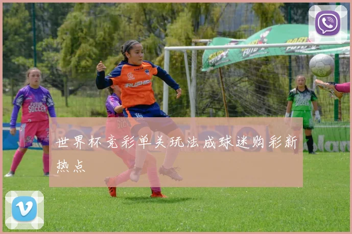 世界杯竞彩单关玩法成球迷购彩新热点