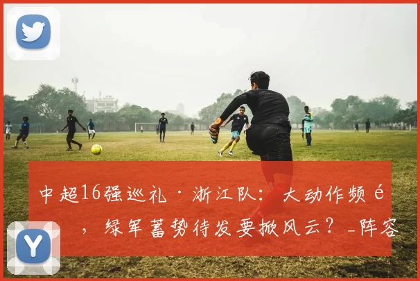 中超16强巡礼·浙江队：大动作频频，绿军蓄势待发要掀风云？_阵容_罗斯·阿洛伊西_托利奇