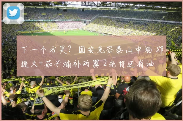 下一个方昊？国安免签泰山中场 邓捷夫+茹子楠补两翼 2老将还有油