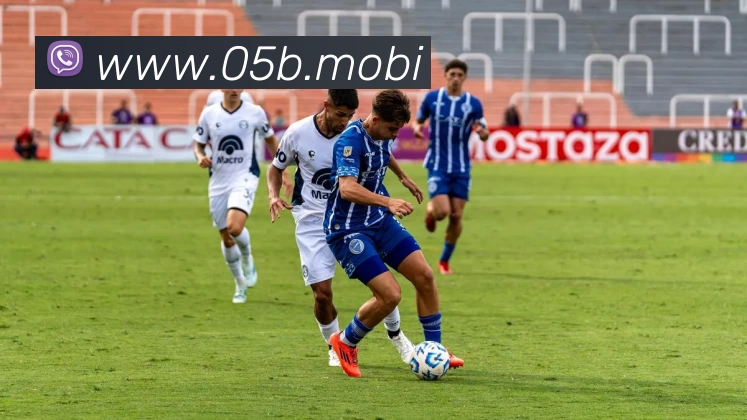 开云网页版·官方版在线 - 开云(中国)平台生态图